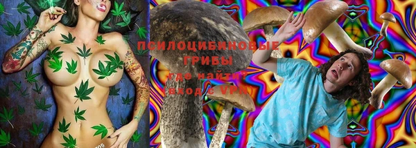 дживик Алексеевка