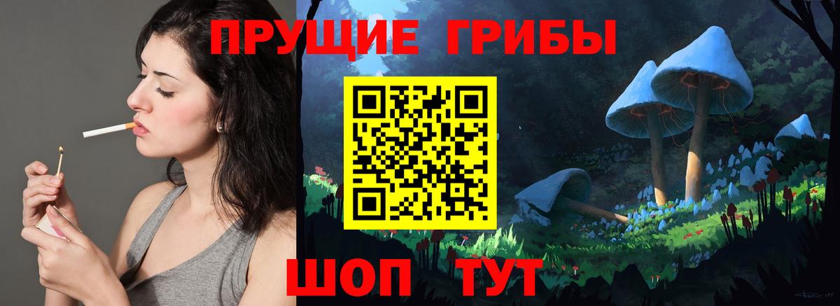 купить наркотик  Псилоцибиновые грибы мухоморы  Вход с VPN  Киров 